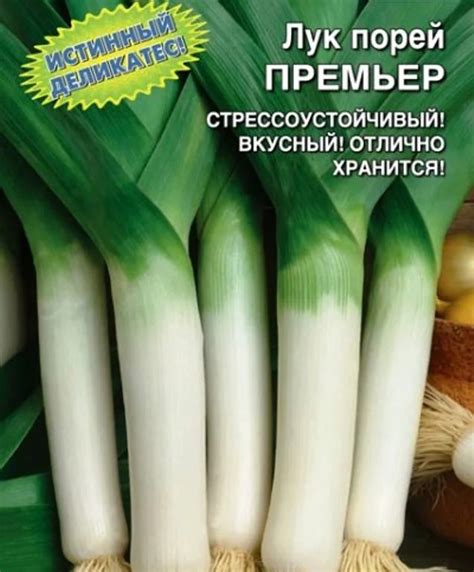 Лук Премьер: описание и характеристики сорта, агротехника посадки и ...