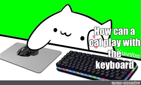 Meme: "How can a cat play with the keyboard" - All Templates - Meme ...