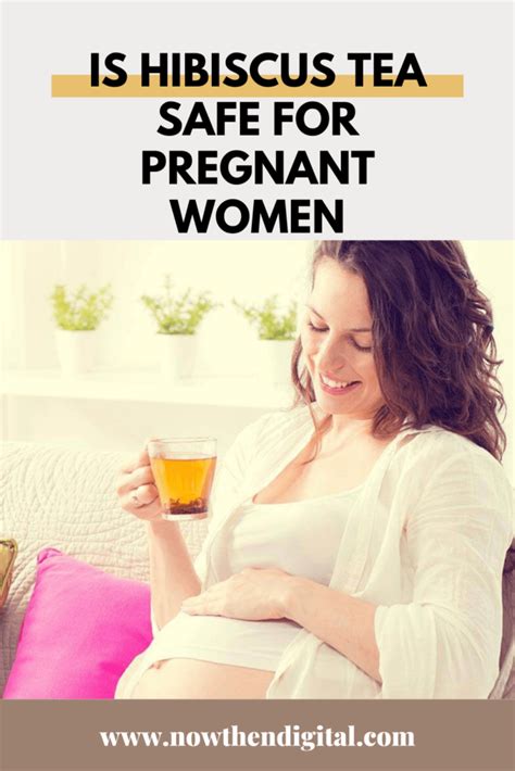 Drinking Hibiscus Tea While Pregnant Is It Safe Now Then Digital