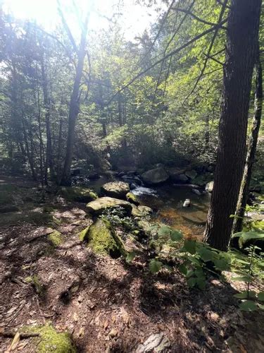 Best Forest Trails In Willard Brook State Forest Alltrails