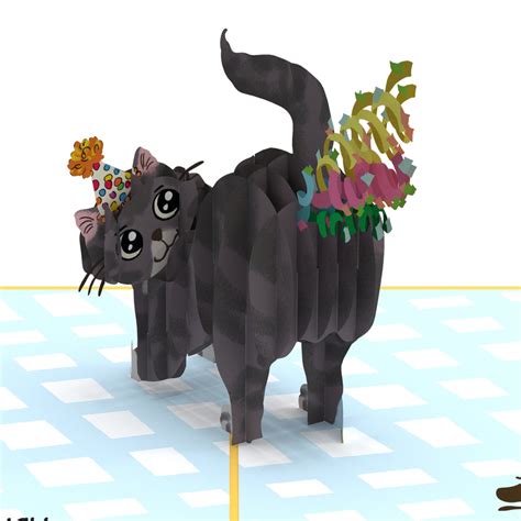 Cat Butt