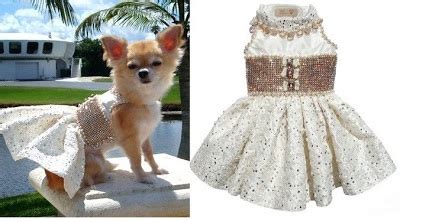 ROUPA PARA CACHORRO FOTOS E MODELOS Digitei