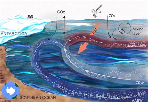 A Simplified Representation Of The Large Scale Circulation In The