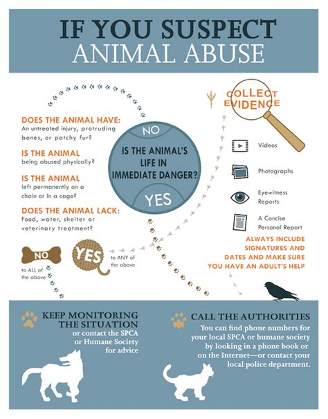 Stop Animal Cruelty Signs