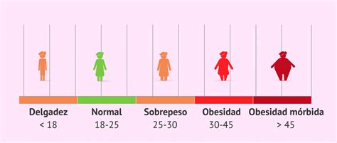 Calculo De Imc Tu Cirugia Plastica