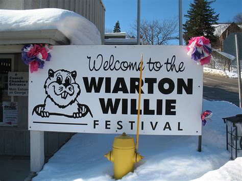 Wiarton Willie is Everywhere - Spacing Toronto