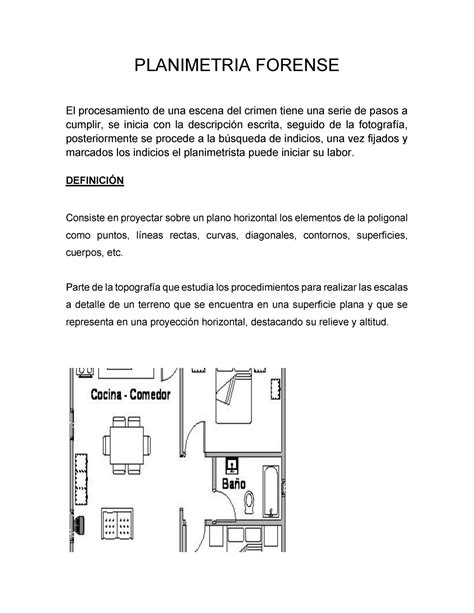 Planimetria Forense Imagenes