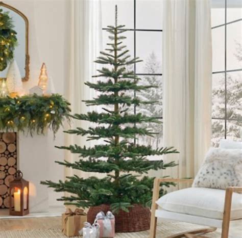 balsam fir tree christmas 8