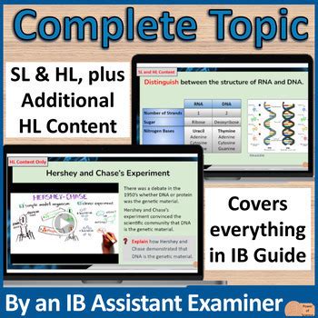 IB Biology A1.2 Nucleic Acids - First Exams 2025 - Complete Topic ... 