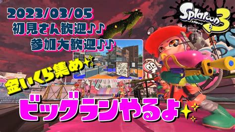 スプラトゥーン3 参加型 ライブ／ 初見さん大歓迎💕金イクラ集め！更新なるか？ビッグランやるよ`･ω･´🐉🐟誰でも！レート関係なし／女性実況 Youtube