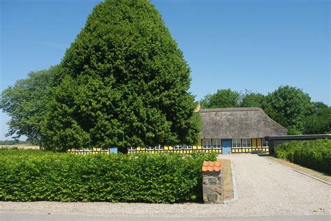 Torrild Kirke, Odder