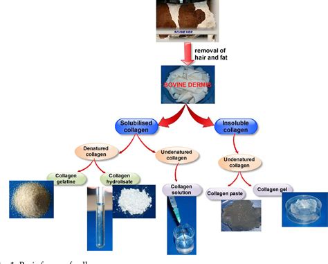 Figure 1 From Collagen Based Drug Delivery Systems For Tissue