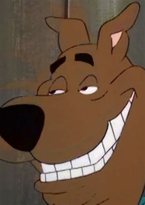 Scooby Doo Funny Pictures