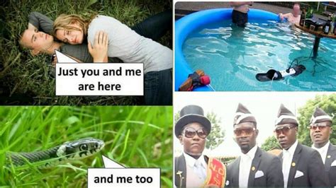 Daily Random Memes😂😂20 Best Memes Ever Viral Memes Wala Youtube