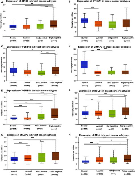 Frontiers Transcriptome Based Network Analysis Unveils Eight Immune