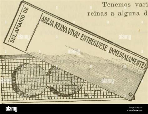 Catálogo ilustrado de los enseres de root para apicultores Bee