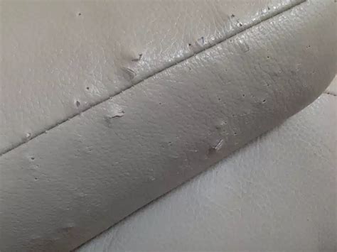 How To Repair Cat Scratches On Faux Leather Sofa Baci Living Room