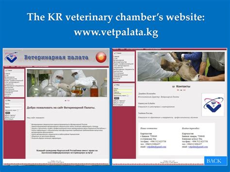 Ppt The Experience Of Establishing The Veterinary Statutory Body In