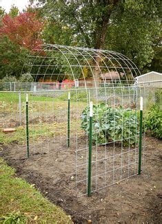 15 Best SQUASH TRELLIS ideas | vegetable garden, squash trellis ...