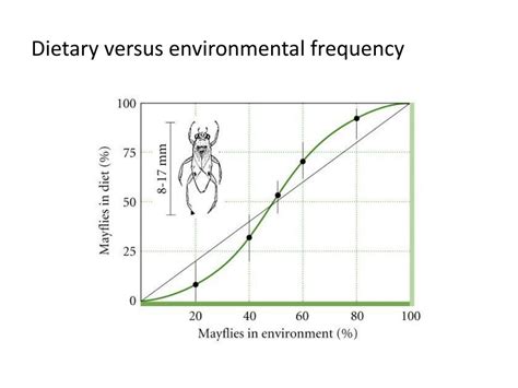 Ppt Keystone Species Powerpoint Presentation Free Download Id2766766