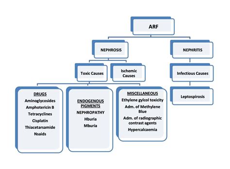 Acute Renal Failure Arf Acute Kidney Disease Akd