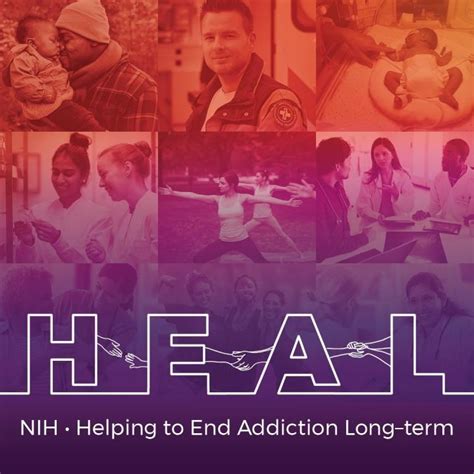 Nih Heal Initiative Image Eurekalert Science News Releases