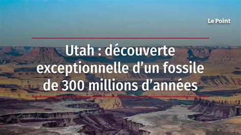 Utah découverte exceptionnelle dun fossile de 300 millions dannées