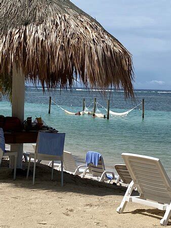 Sol Y Mar Beach Club Roatan Sandy Bay Atualizado O Que Saber