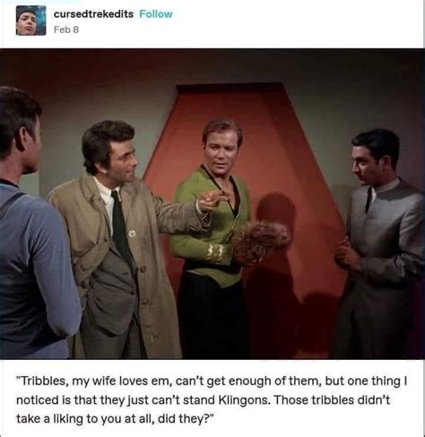 An Unraveling Spool Of Random Memes Star Trek Funny Star Trek