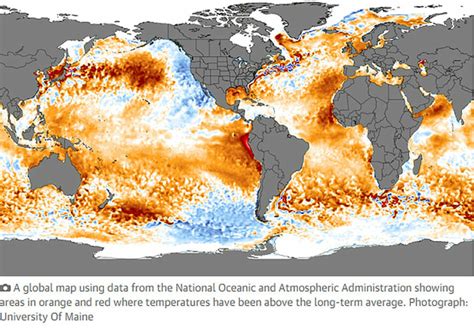 Record High Ocean Temperatures Spark Global Marine Heatwaves Danby