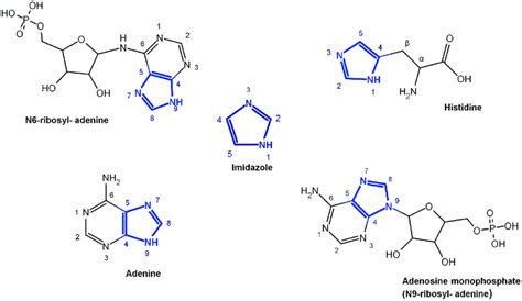 Figure From Imidazole Ring Opened Dna Purines And Their 40 Off