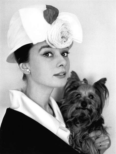 Audrey Hepburn And Her Pet Yorkie Mr Famous Audrey Hepburn Hepburn