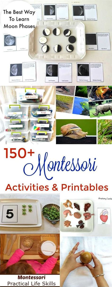 150 The Best Montessori Activities Free Printables Montessori Books