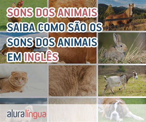 Saiba Como S O Os Sons Dos Animais Em Ingl S Cursos De Ingl S