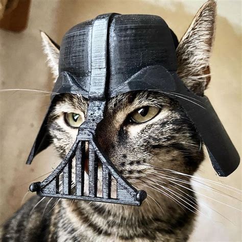 This Guy Designs Custom 3d Printed Helmets For His Cat And Its Adorable