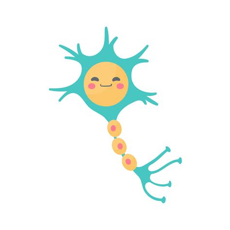 human sensory neuron model for biology studies 6410157 Vector Art at ...