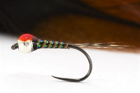 Spotted Green Quill perdigon - Fly Tying | Fly tying, Fly fishing flies ...