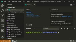 Remote Development With Visual Studio Code On Amazon EC2 Let S WP