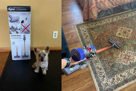 Dyson V8 Absolute review: Is it worth the money?