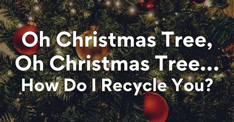 Recycle Your Real Christmas Tree