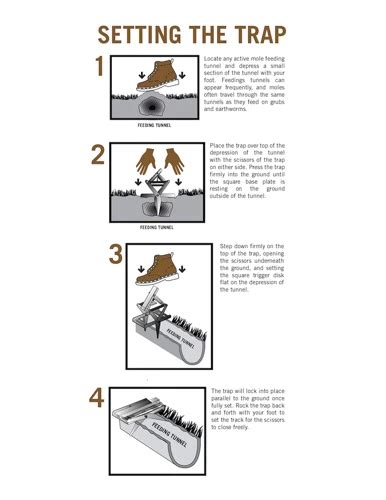 The Dos And Donts Of Mole Trap Placement