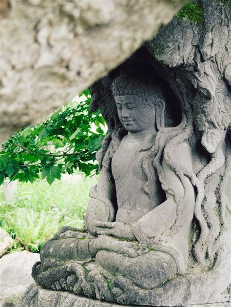 If You Meet The Buddha On The Road Kill Him Lions Roar