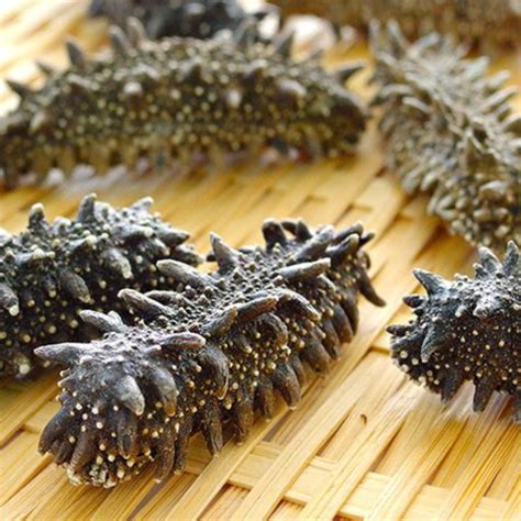 Supply Dried Sea Cucumbers High Quality