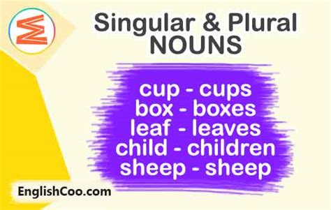 Singular Dan Plural Nouns Mudah Dipahami Englishcoo