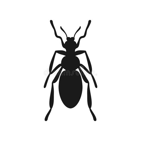 Flea Insect Draw Stock Vector Illustration Of Wildlife 333201140