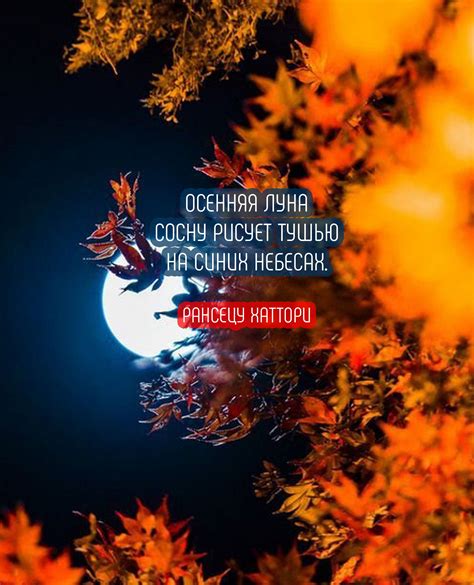 Цитаты и картинки про осень | Красивые. Для инстаграм. Фото.