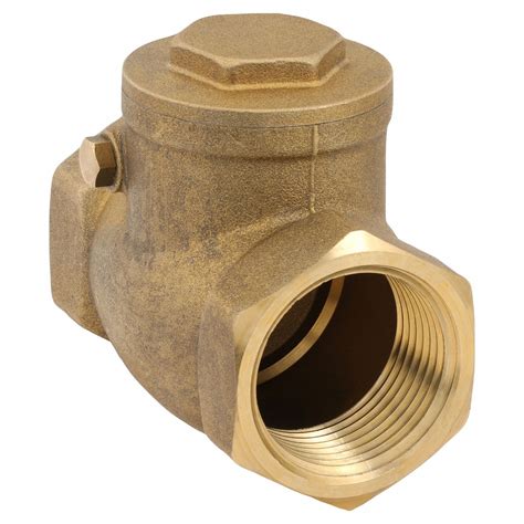 Swing Inline Valve Body Swing Check Valve F F Grainger