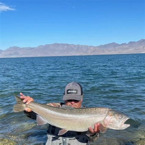 pyramid lake bobbers  dropping november