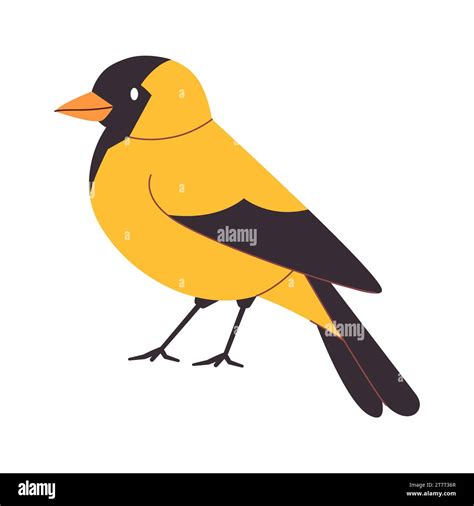 yellow and black color american goldfinch bird small cute beautiful