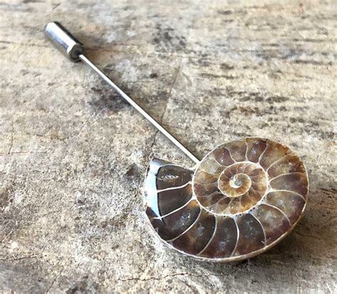 Ammonite Lapel Pin Fossil Shell Stick Pin